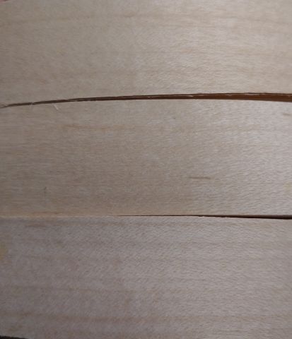 Veneer Thin Cut Maple 2" Wide