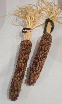 Class - Suzi Nonn Nov 1st Wooly Rainbow Corn Cobs