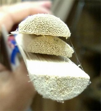 Reed Half Round 3/4" wide