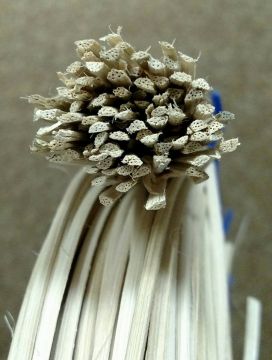 Reed Half Round 1/8" / 3 mm wide