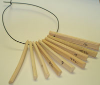 Tool - Spline Sample Ring