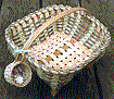 Pattern - Peppermint Pattie Table Basket by Klann